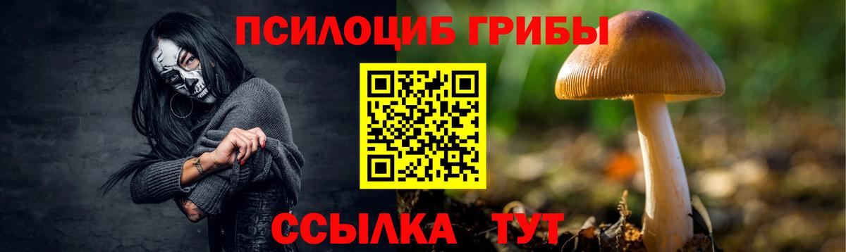 Псилоцибиновые грибы Psilocybine cubensis Обнинск