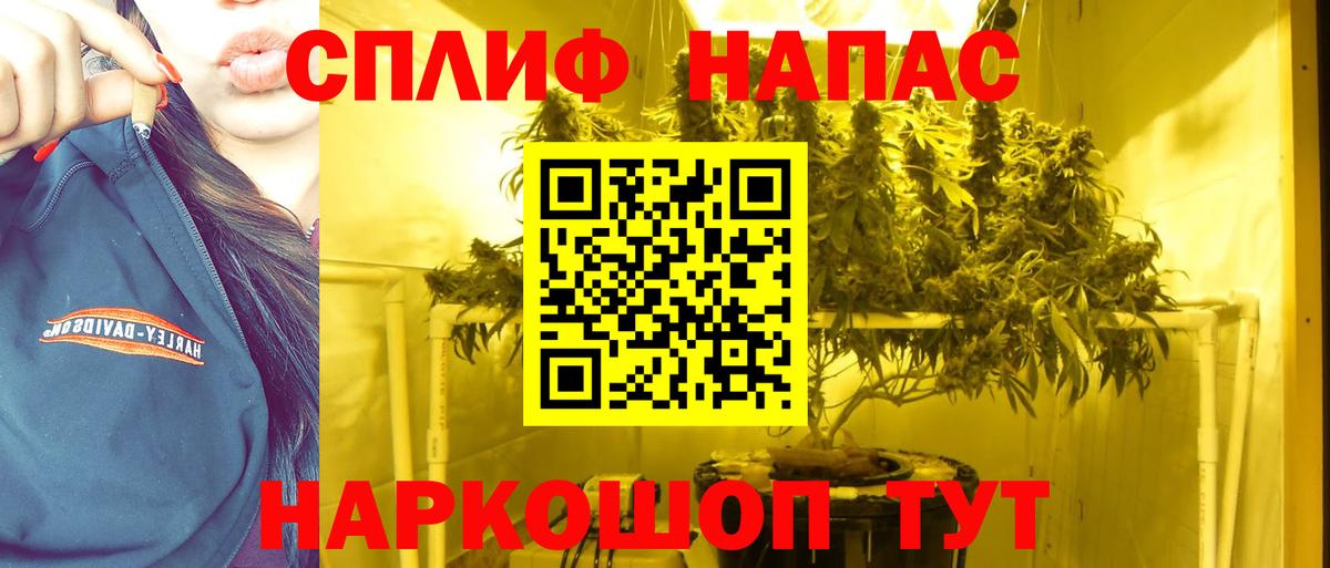 Каннабис сатива  Вход с VPN  Конопля план  Марихуана план  Обнинск  Марихуана ГИДРОПОН 
